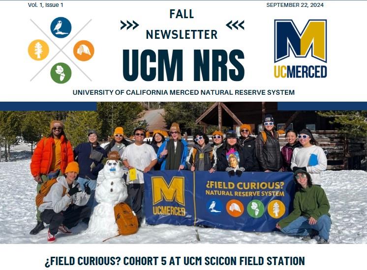 Newsletter